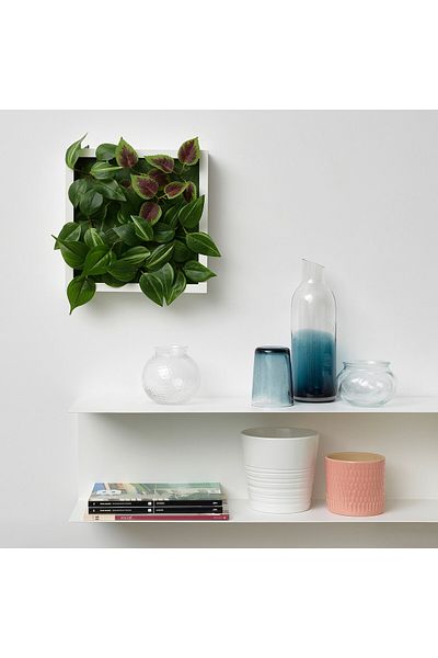 erorex Artificial plant, wall mounted/in/outdoor green/lilac, 26x26 cm