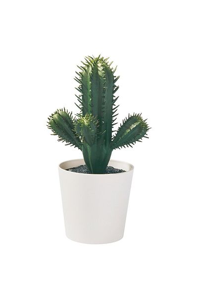 erorex Artificial potted plant, in/outdoor Cactus, 6 cm