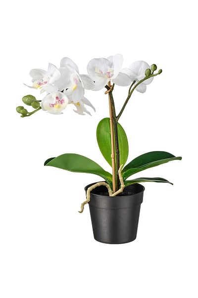 erorex Artificial potted plant, Orchid white, 9 cm