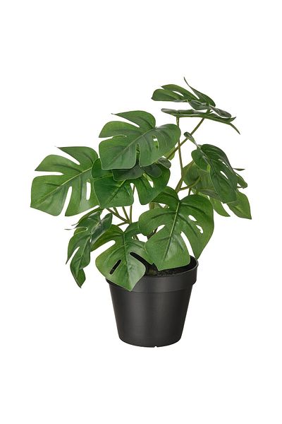 erorex Artificial potted plant, in/outdoor Monstera, 12 cm