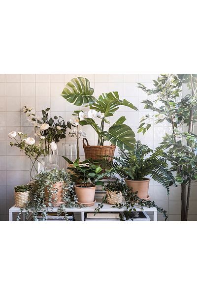 erorex Artificial potted plant, in/outdoor Monstera, 19 cm