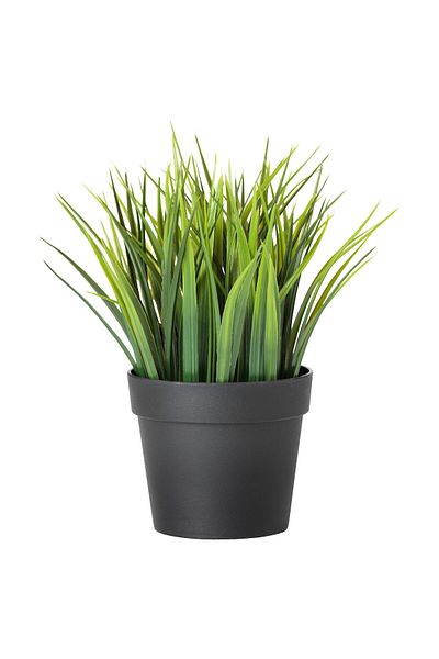 erorex Artificial potted plant, in/outdoor grass, 9 cm