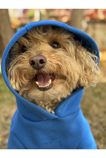 WoofTailor Woof Tailor Saks Mavi Hoodie