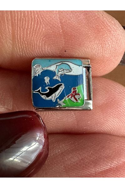 Vaveyla Italian Steel Bracelet Charm