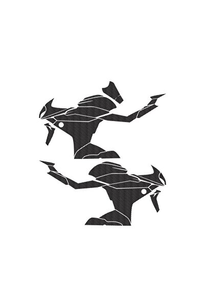 Motiker CFMOTO 250SR KARBON STICKER SET PARÇALI FULL KAPLAMA ETİKET MODELİ