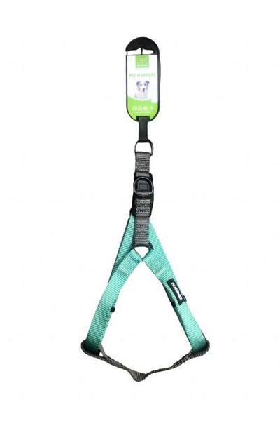 Nunbell Turquoise Dog Collar 2 cm (Chest: 40 cm - 70 cm)