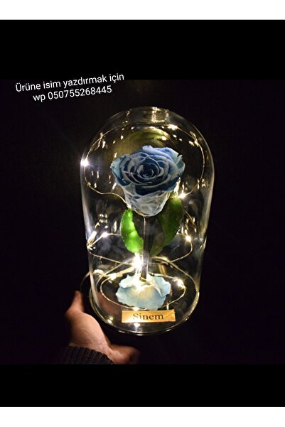 baskıtek isimli Cam fanusta solmayan mavi gül, sevgiliye hediye, arkadaş hediyesi