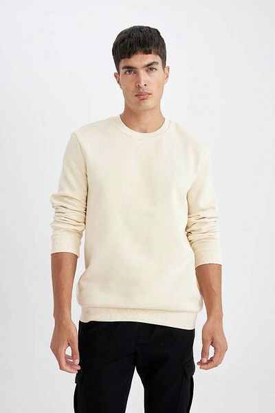 DeFacto Dickes, schlichtes Basic-Sweatshirt mit normaler Passform und Rundhalsausschnitt T3777az24au