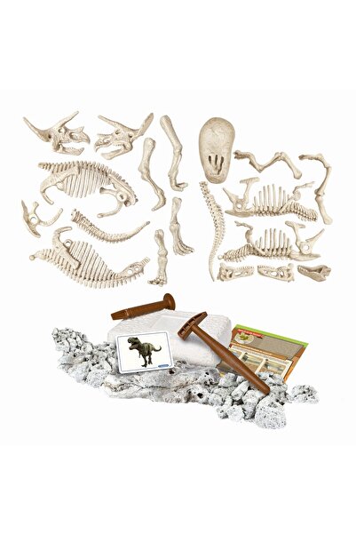 CLEMENTONI DISCOVER THE T-REX DINOSAUR & TRICHERAPTOR FLUO SCIENCE AND PLAY