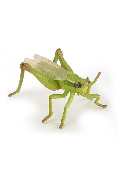 Papo Grasshopper Figurine
