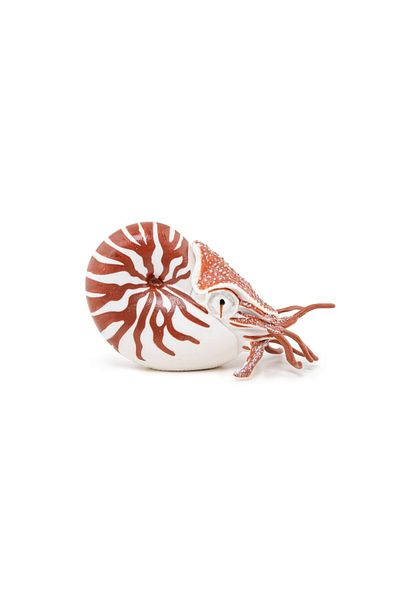 Papo Nautilus figurine