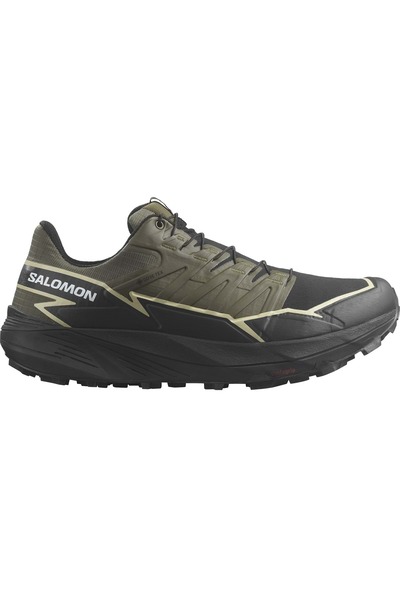 Salomon Salomon Men's Running Shoes L47383400 green