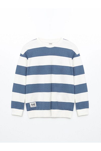 LC Waikiki Crew Neck Boy's T-Shirt