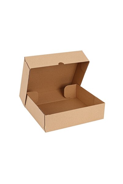 Milim Matbaa 2 Adet 35x25x10 Cm Kraft Kargo Kutusu
