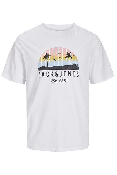Jack & Jones Ανδρικό T-Shirt Jjpalm 12269418