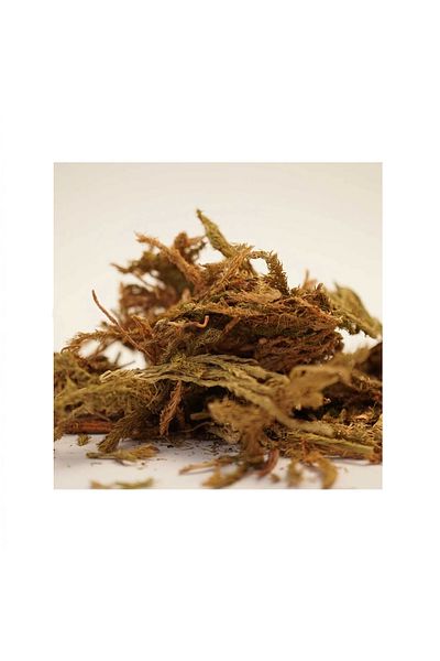 DVD Lokman Aktar Wolf Claw 35 Gr (Pack-Plant) 1Piece