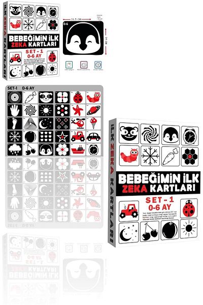 SAZE 2199 Educational Cards 0-6 Months Intelligence Cards Educational Card Suitable for Babies