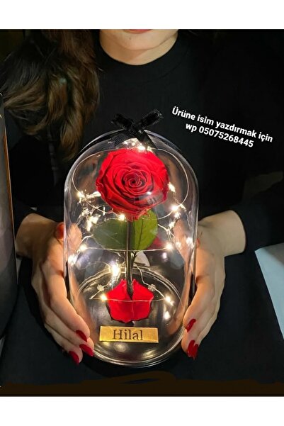 baskıtek Cam fanusta İsimli Solmayan Gül Led Işıklı, Sevgiliye hediye, kadınlar günü hediyesi