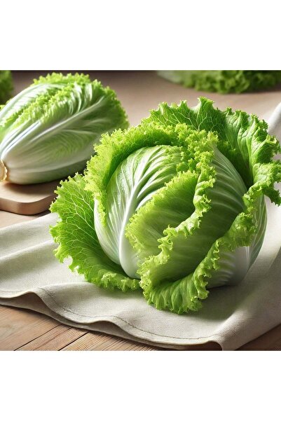 E-fidancim Geleneksel Tohumlar Buzdağı İceberg Marul Tohumu (200 tohum)