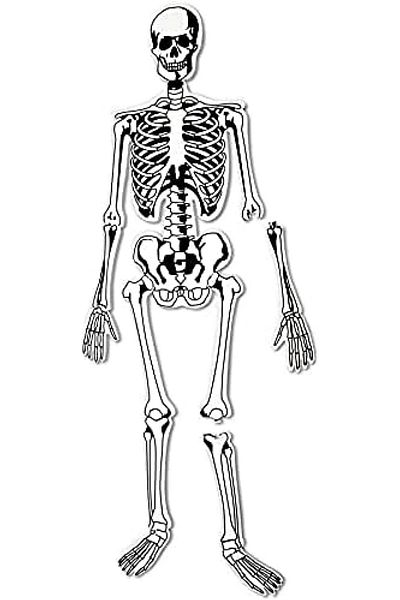 Learning Resources Skeleton Foam Floor Puzzle-LER3332