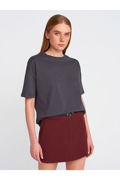 Dilvin 3683 Basic T-Shirt - Graded Anthracite Color