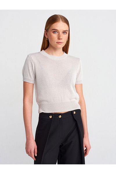 Dilvin 10718 Crew Neck Thin Textured Knitwear Blouse-Gray