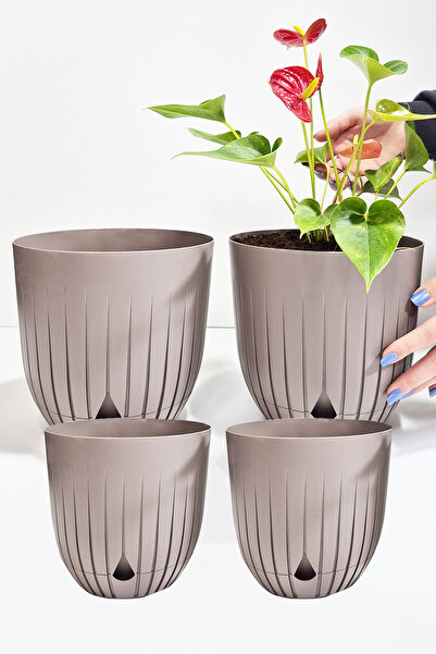 ATA HOME 2 Adet 5 Litre Ve 2 Adet 2.2 Litre Dekoratif Plastik Saksı Seti kapu...