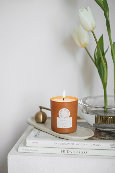 Echoes Candle & Scent Lab. Under The Fig Tree Kokulu Küçük Boy Doğal Mum 150 Gr