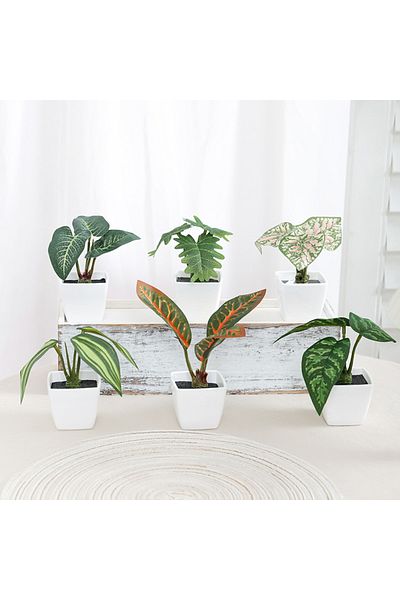 Choice 240072ZH6 1 SET (6PCS) Simulated Plant Potted Plants, Placed on The Desk, Foyer, Garden, And Courtya