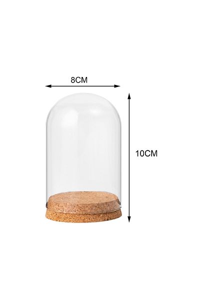 Choice 8cmx10cm Glass Dome Wooden Base Container Tabletop Display Transparent Glass Cover Dry Flower Orname