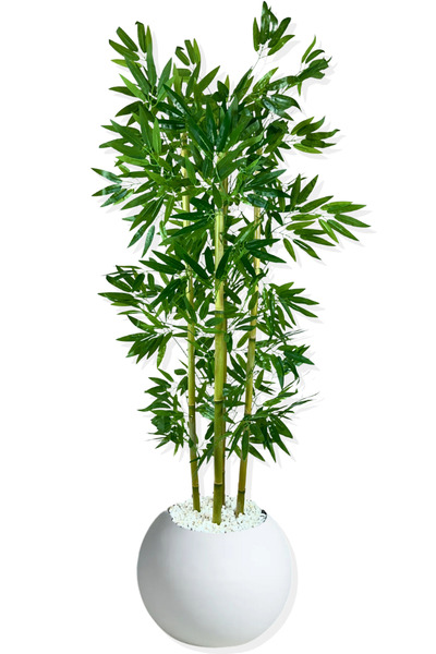 Cihan Çiçekçilik Yapay Yapraklı Bambu Ağacı 4 Bambulu 170 Cm Küre Saksı