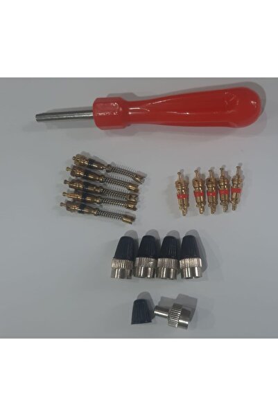 BSR Lastik Market Sibop Iğnesi - Paftalı Sibop Kapağı Ve El Aleti Yedek Seti