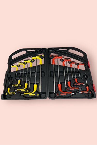 Hırdavat Profesyonel Kalite ile Donatılmış 16 Parça T Alyan & Tork Seti" Set