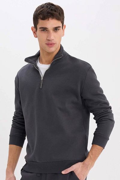 DeFacto Bequemes, bequemes Sweatshirt mit Reißverschluss und Stehkragen und normaler Passform X7405AZ25SP