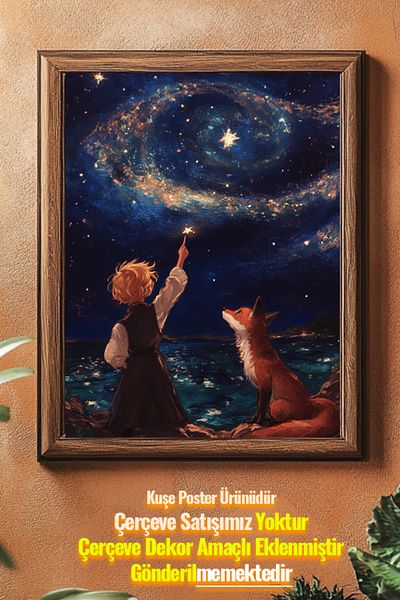 Taranist Poster - Micul Prinț Le Petit Prince