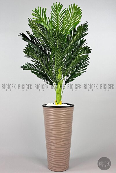 BİÇİÇEK 150cm Areka Ağacı Kumsal Saksıda