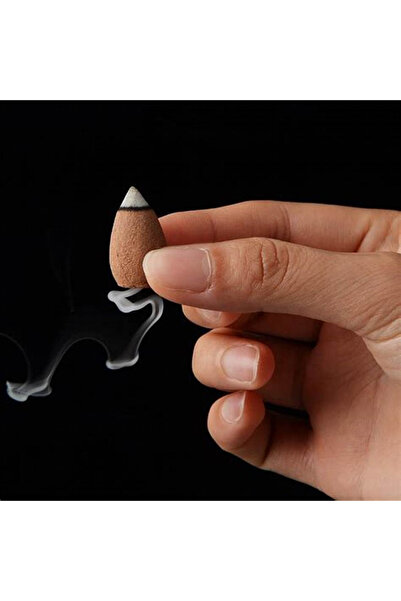 ayurvedic بخور الباتشولي الخلفي - 10 قطع