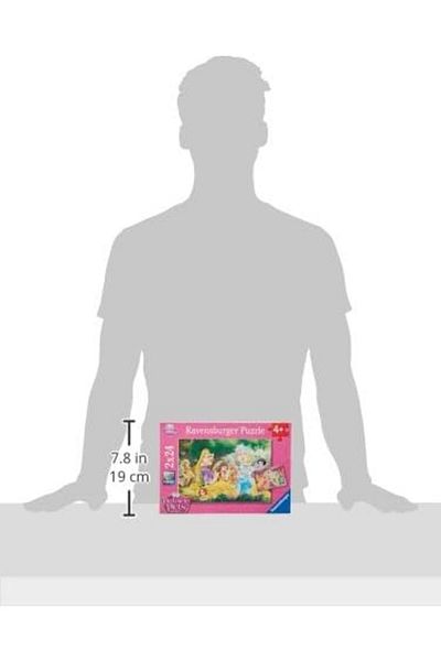 STOREMAX Nfmax 89529 Wd - 2X24P Puzzle - Friends of the Princess Fshnf 1051353