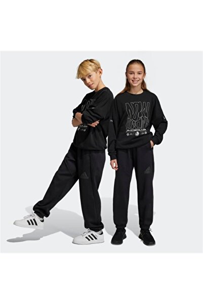 adidas U FI LOGO PT Eşofman Altı