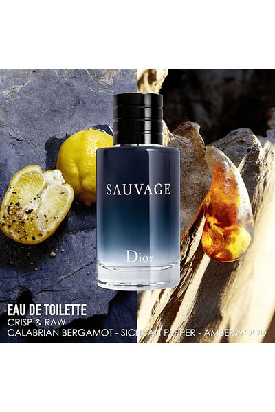 Dior Sauvage for Men - Eau de Toilette, 30 ml