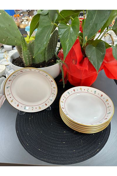 ACAR Livaldy Ceramic 6 Pieces Dish Plate