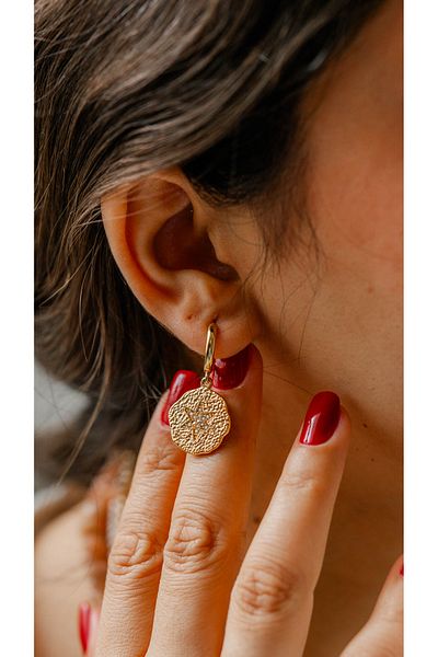 Gigi Star Zircon Earrings