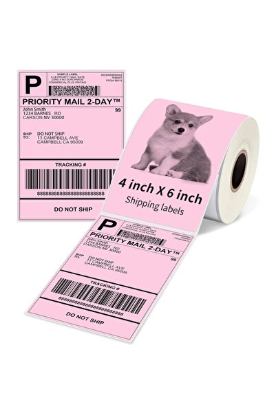 Phomemo 4x6 Inç 500 Adet Pembe 101,5x152mm Rulo D520-bt / Pm-241-bt / Pm-246s...