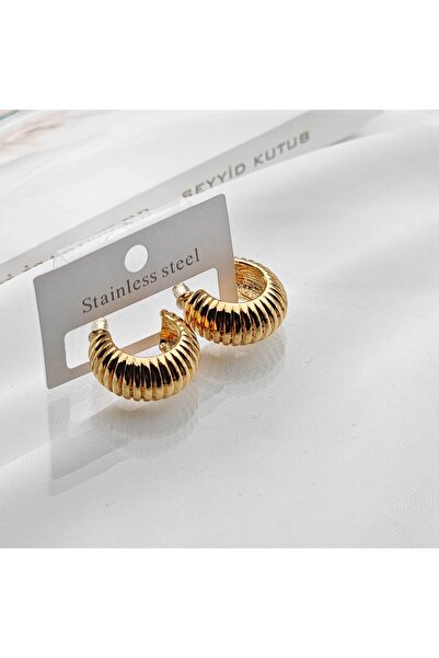 stainless steell Stainless Steel Modern Kabuk Küpe