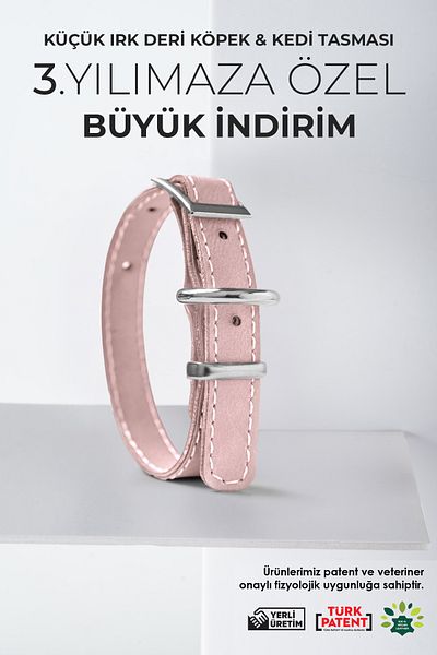 pasiole Dog Collar, Small Breed Dog and Cat Collar, Dog Collar