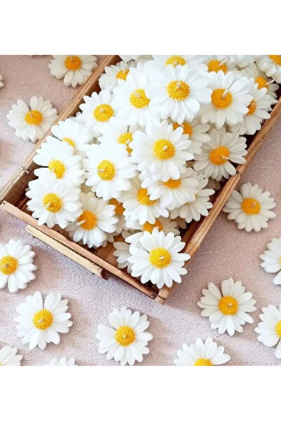 olivetree Yüzen Hediyelik Kokulu Mum 25 Adet