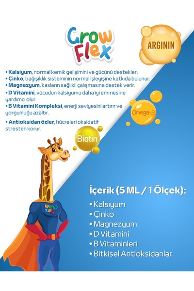 growflex surup 2 li paket