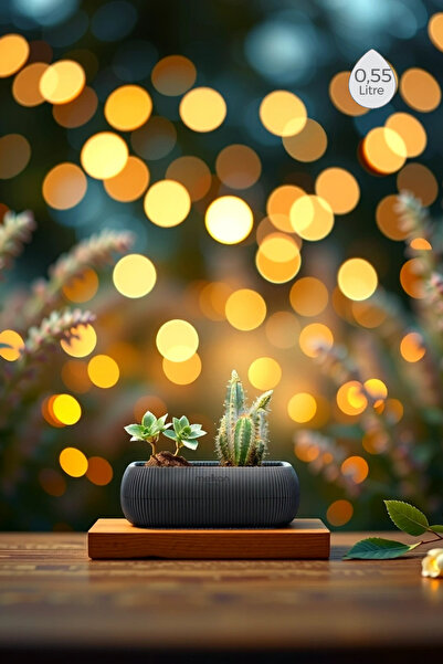 Melkan Home Modern Premium Mini Saksı 0,55L Kaktüs, Sukulent, Çiçek Saksısı D...