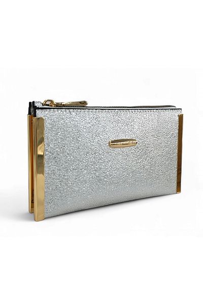 Evident Silver Color Small Portfolio & Women's Handbag (19 X 11)