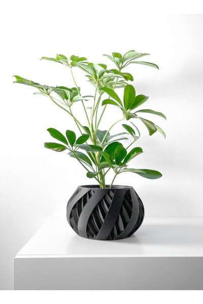 3D Brothers وعاء زراعة سيلفو